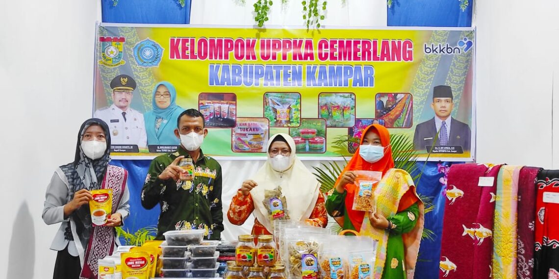 Pemulihan Ekonomi Masyarakat Lewat Pasar Live Selling Online