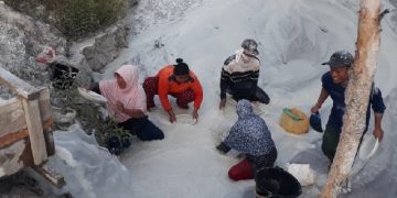 Pertambangan Timah Ilegal Makin Marak