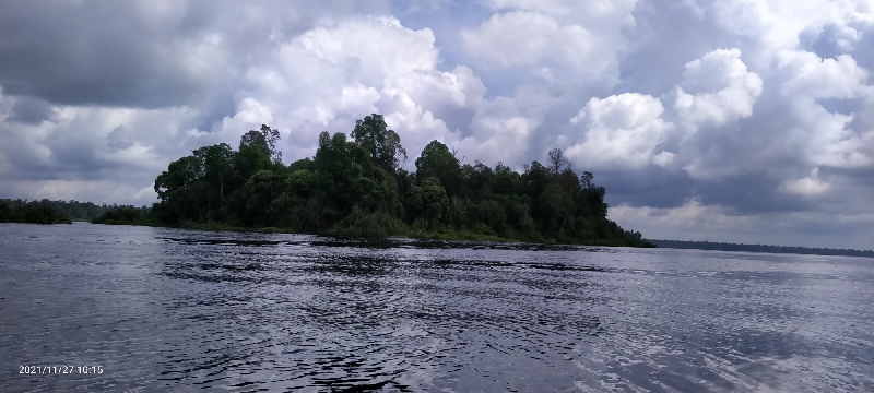 Danau Zamrud Siak Wisata Eksotis nan Perawan