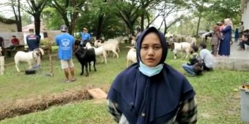 Kampar Tempat Terbaik Untuk Peternakan Kambing Lokal