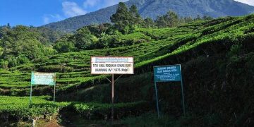 PVMBG Tingkatkan Status Gunung Dempo ke Level Waspada