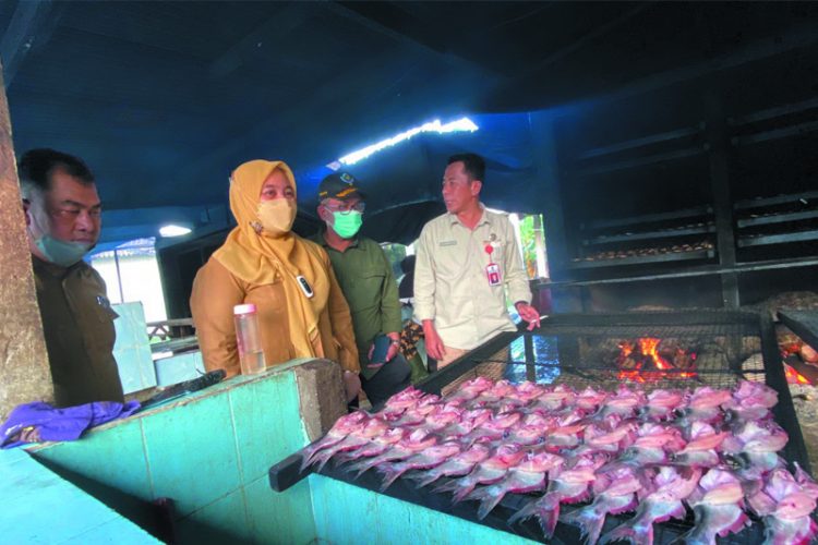 Produksi Ikan Patin di Desa Koto Mesjid Capai Rp6,6 Miliar
