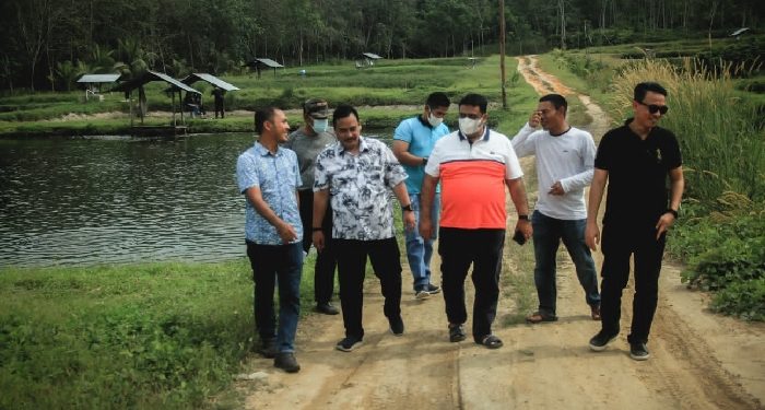 Kunjungan Anggota DPR RI M. Nasir ke Kampar