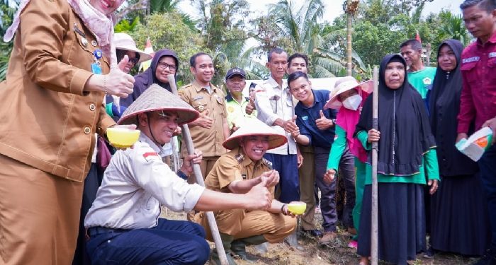 Kamsol Tanam Jagung Hibrida untuk Ketahanan Pangan