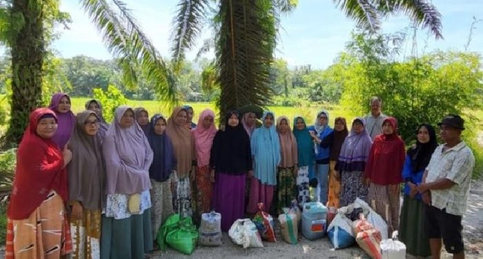 Winda Turun ke Sawah Lagi Bantu Bibit Padi di Kampar Utara