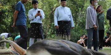 3391 Ekor Hewan Kurban di Siak Aman Dari PMK