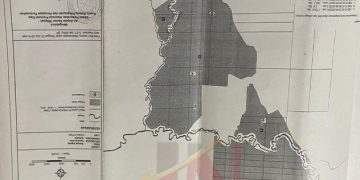 PT Padasa Enam Utama Tanam Sawit Di DAS Seluas 244 Hektar