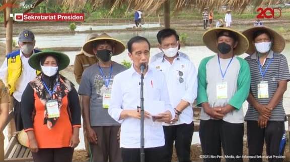 Kabar Menggembirakan, Tiga Tahun Indonesia Tak Lagi Impor Beras