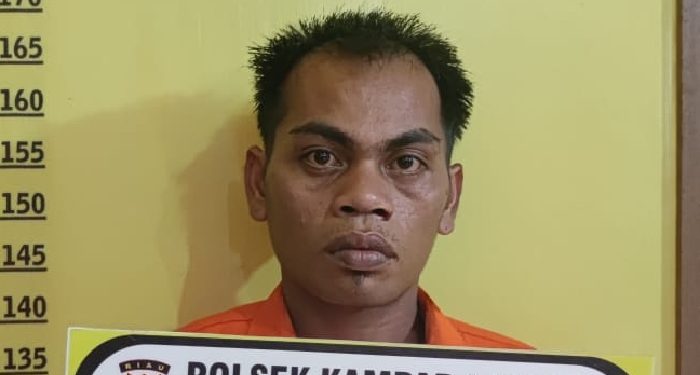 Unit Reskrim Polsek Kampar Kiri Amankan Pelaku Cabul Anak Bawah Umur