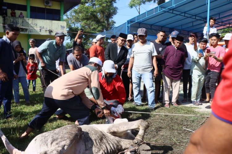 Idul Adha Tahun Ini, 35 Hewan Kurban Didistribusikan Untuk Kaum Duafa di Kampar