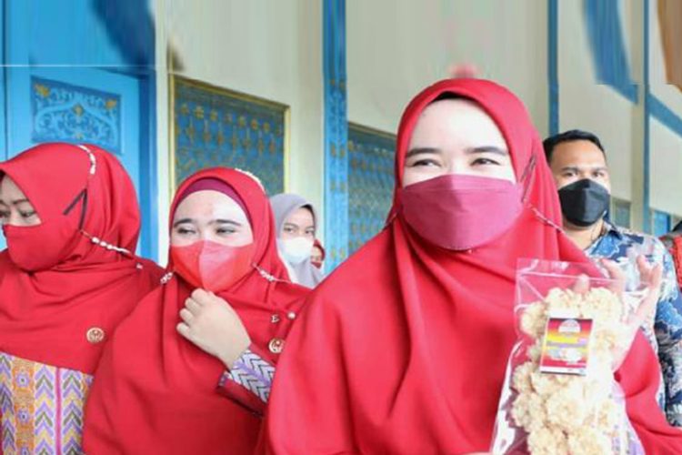 Pengembangan Usaha Mikro Kecil Menengah Dalam Upaya Meningkatkan Keuangan Daerah  Kabupaten Pelalawan