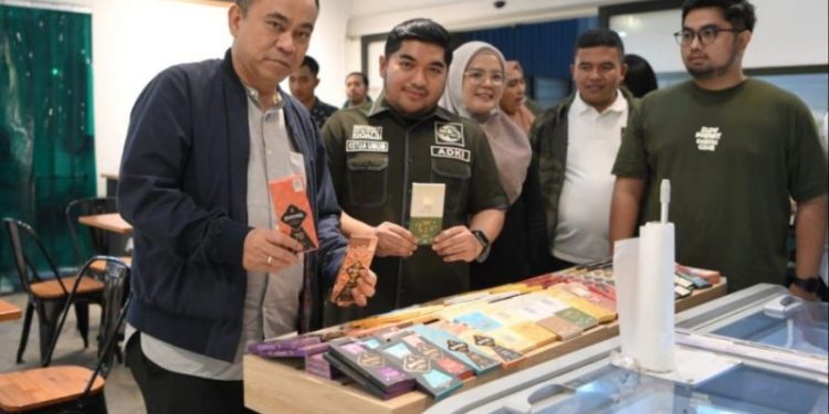 Ketua Dewan Pembina DPP ADKI Dilantik Jadi Menkominfo Gantikan G. Plate