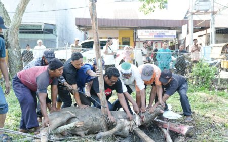 Bupati Rohil Bagikan Ratusan Paket Sembako dan Daging Kurban, Wartawan Juga Kebagian