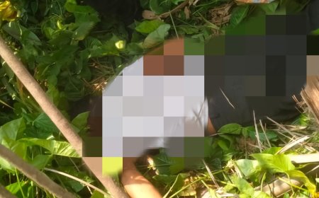 Tengah Panen Karyawan PT Rama Jaya Tewas Tersengat Listik