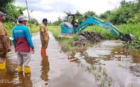 Kadis LH Rohil Pantau Langsung Normalisasi  Banjir