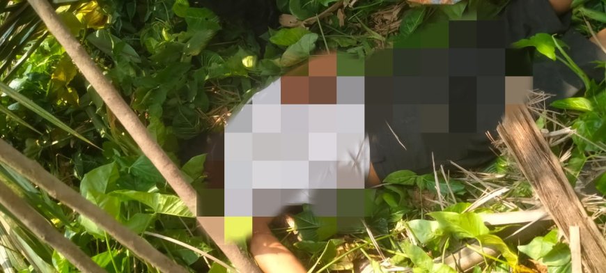 Tengah Panen Karyawan PT Rama Jaya Tewas Tersengat Listik