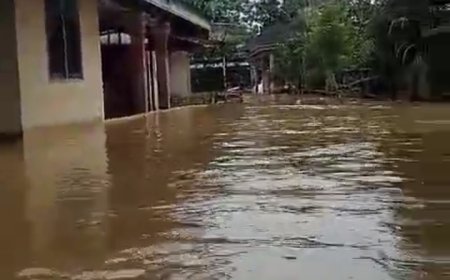 Enam Desa di Kampar Kiri Terendam Banjir