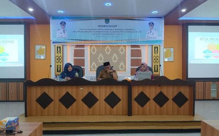 Setda Rohil Gelar Workshop Penyusunan Peta Probis 2023