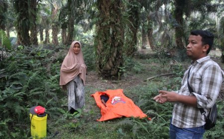 Ditunggu Makan Siang Tidak Pulang-pulang, Warga Bangkinang Kota Ini Ditemukan Tidak Bernyawa Di Kebun Sawit