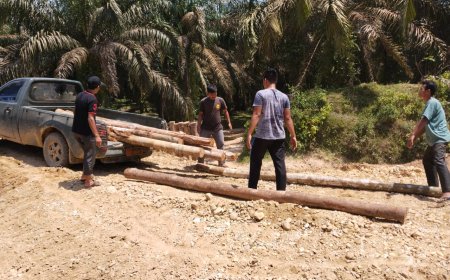 Tim TMMD Kodim 0313/Kpr Rehab MCK Mushala dan Pasang 60 Batang Kayu Cerocok Box Culvert Di Desa Tanjung Belit Selatan 