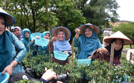 Ricana Djayanti Hambali dan Ketua TP PKK Riau Tinjau Kebun Cabe Stanum