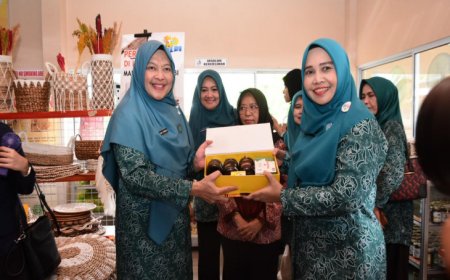 Penjabat Ketua TP PKK Kampar dan Penjabat Ketua PKK Riau Singgah Di Rumah Madu Wilbi Kuok