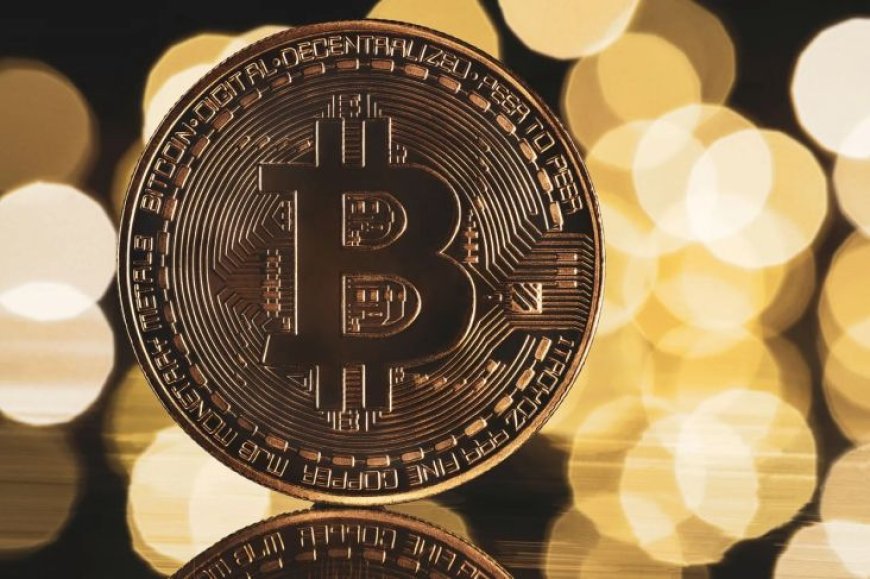 Hakim Keyser Tolak Gugatan Howells Tentang Harta Karun Bitcoin Senilai Rp11 Triliun Hilang Selamanya di Tempat Sampah
