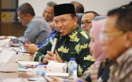 Husni Merza Sampaikan Sederet Usulan Pembangunan Kepada Gubri