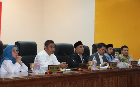 Fraksi Nasdem Minta Pemda Fokus Gali PAD Kampar