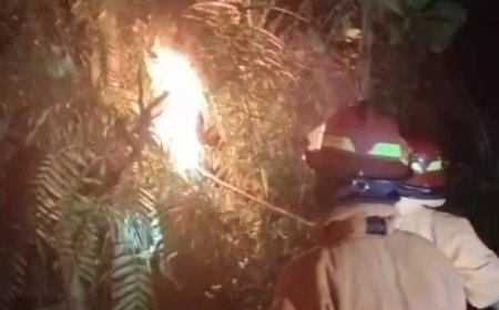 Disengat Tebuan Warga Kecamatan Bangko Minta Bantuan Damkar Rohil