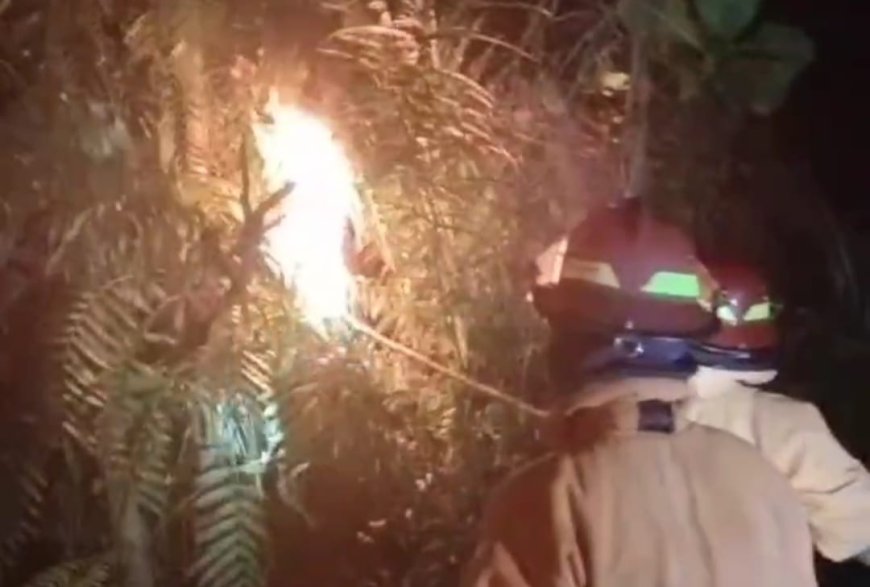 Disengat Tebuan Warga Kecamatan Bangko Minta Bantuan Damkar Rohil