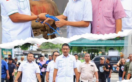 Agoes SP Serahkan Hewan Kurban Di Mesjid Al Fatah Ambon