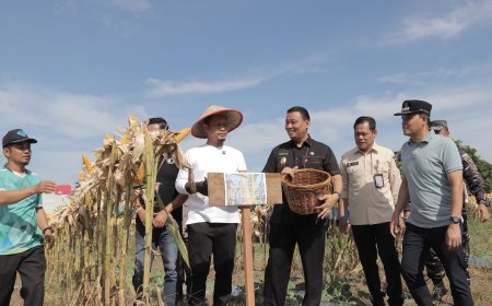 Agung Nugroho Ikuti Panen Raya Jagung Serentak Kuartal II