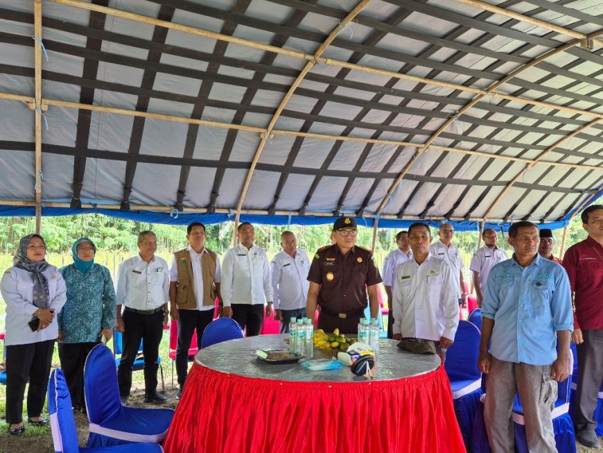 Kajari SBB Hadiri Gerakan Tanam Cabai Serempak se-Provinsi Maluku