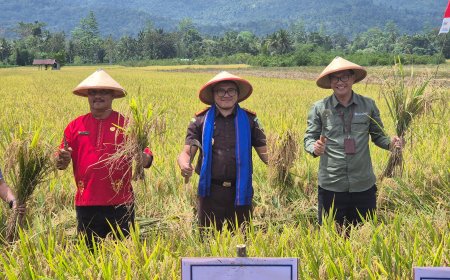 Dukung Ketahanan Pangan, Kajati Maluku Hadiri Panen Raya Padi Sawah Di Desa Waimital