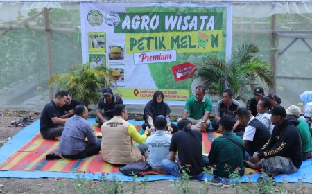 Panen Melon di Buantan Besar, Bupati Afni : Bukti nyata Dana Desa Tingkatkan PAD