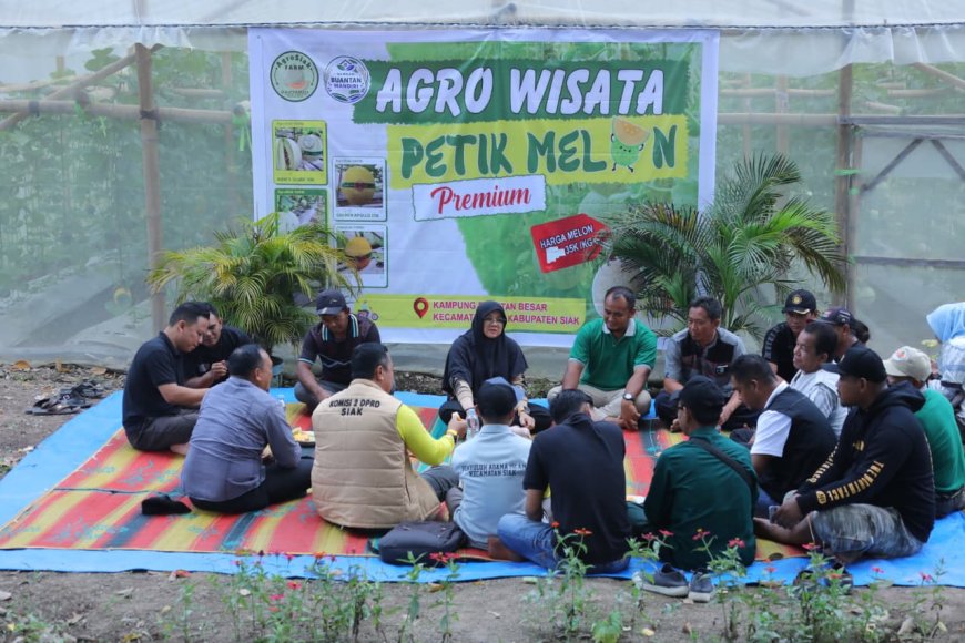 Panen Melon di Buantan Besar, Bupati Afni : Bukti nyata Dana Desa Tingkatkan PAD