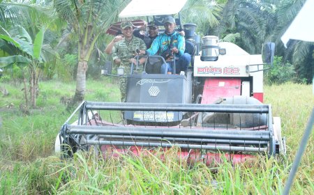 Perkuat Ketahanan Pangan Wabup Bengkalis Hadiri Panen Raya TNI di Siak Kecil