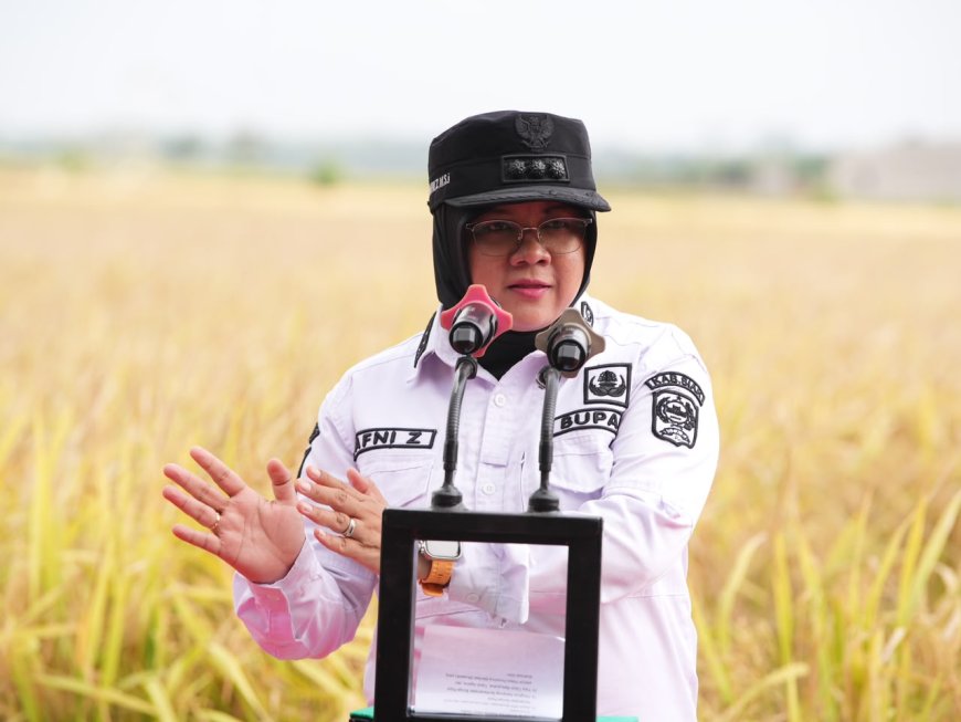 Panen Perdana Padi Zakat Produktif di Siak, Mustahik Didorong Menjadi Petani Mandiri