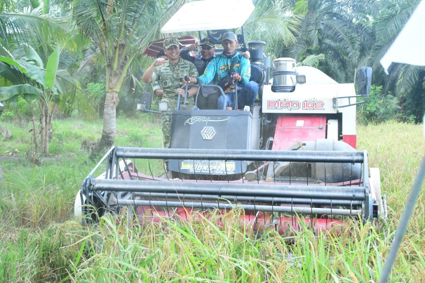 Perkuat Ketahanan Pangan Wabup Bengkalis Hadiri Panen Raya TNI di Siak Kecil