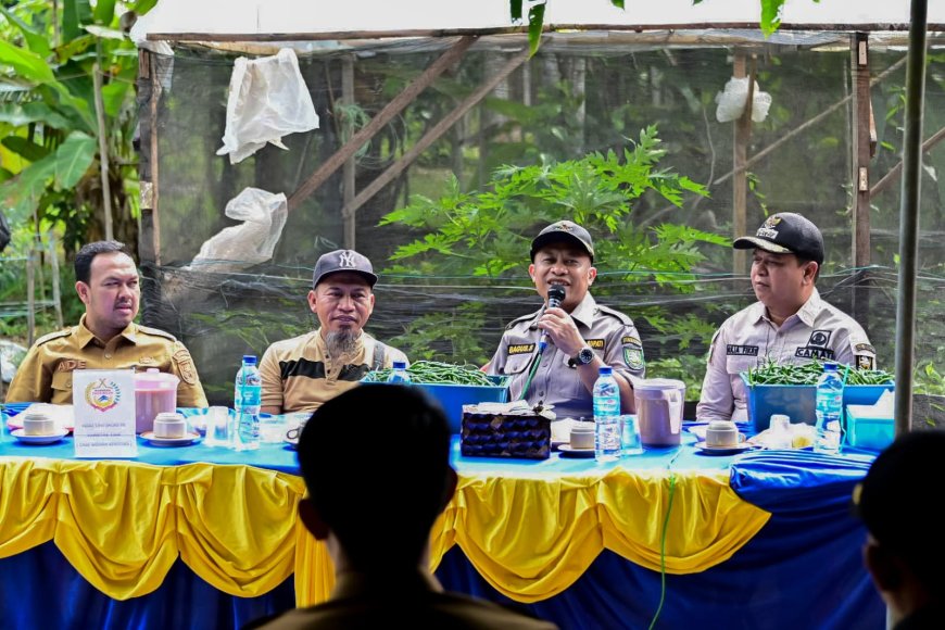 Wabup Bengkalis Panen Cabai Bersama BUMDes Pasiran