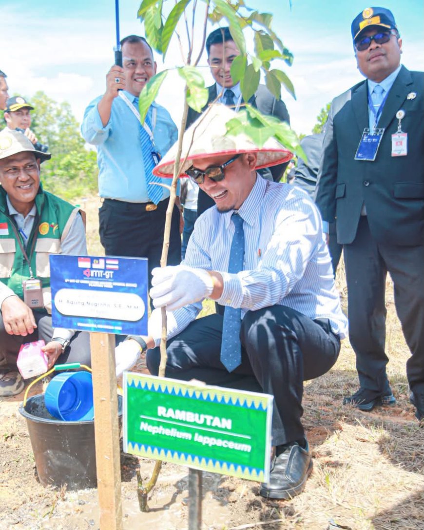 Wako Pekanbaru Dan Kepala Daerah IMT GT Tanam Pohon