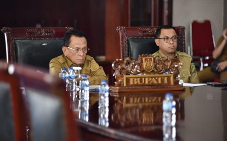 Bupati Rohil Percepat Digitalisasi Perlinsos Lewat Rakor Daring