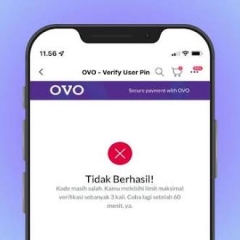 OVO Tidak Bisa Login dan Saldo Masih Ada, Apa Solusinya